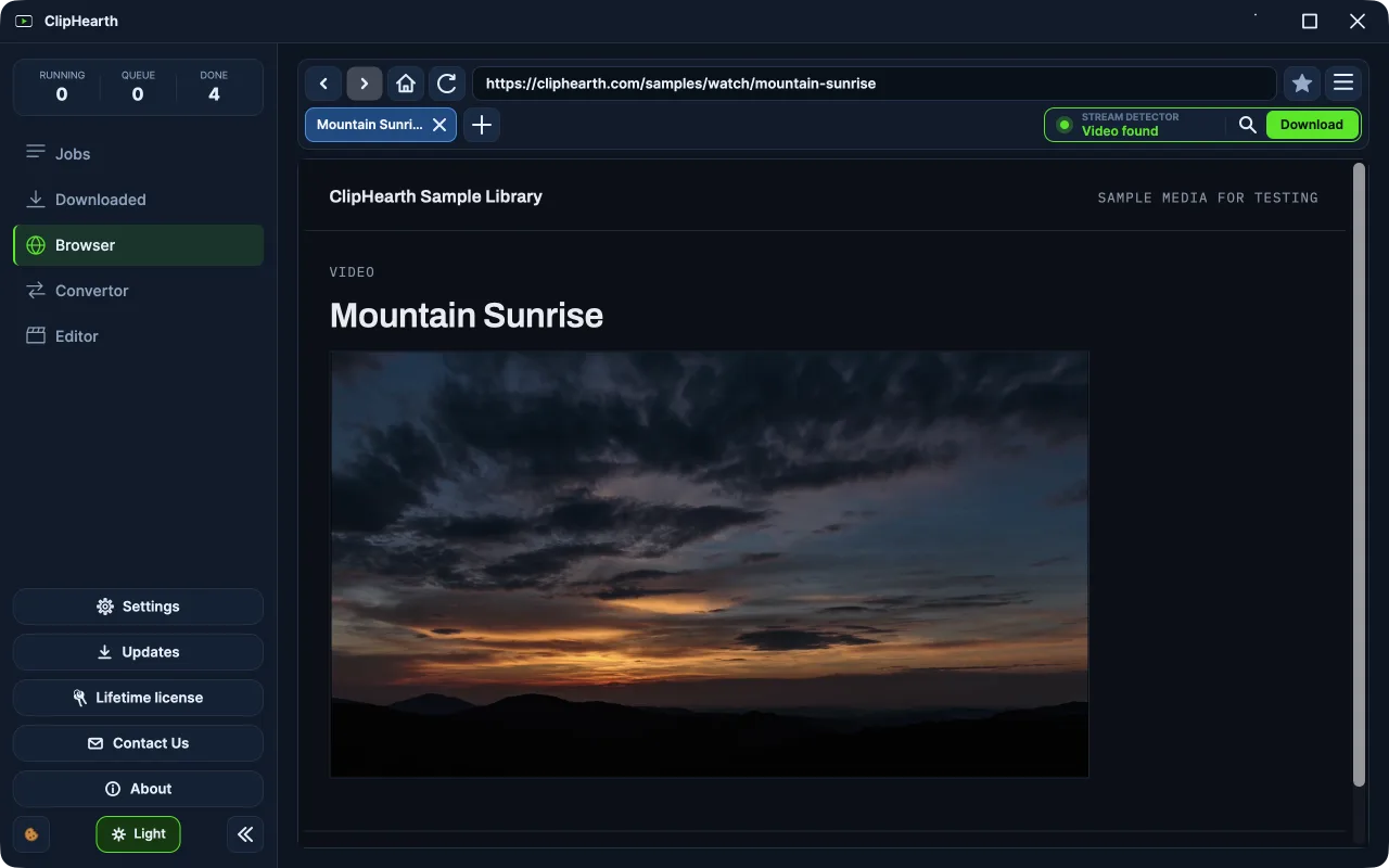Browser: the detector box shows Video found
