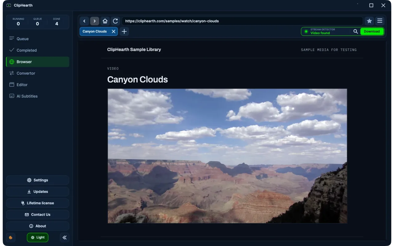 Browser: the detector box shows Video found